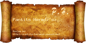 Pantits Hermész névjegykártya
